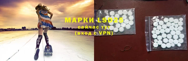 PSILOCYBIN Алзамай