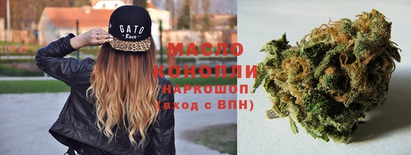 PSILOCYBIN Алзамай