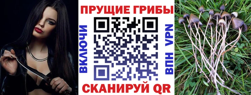 Псилоцибиновые грибы MAGIC MUSHROOMS  Зеленоградск 